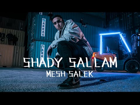 Shady Sallam — Mesh Salek