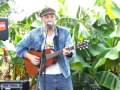 Plot 20 Allotment Music Festival  - 3 - " Solomon "  Martin Stephenson Live