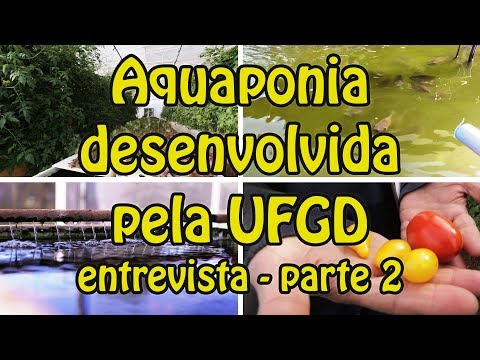 Aquaponia desenvolvida pela UFGD – Entrevista parte 2
