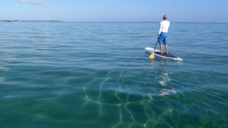 preview picture of video 'Peninsula Stand Up Paddle, Mornington Peninsula, Australia'