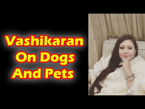 Vashikaran On Dogs And Pets: Mahakali vedic healing shelter USA,UK,UAE,India,Singapore,delhi, mumbai