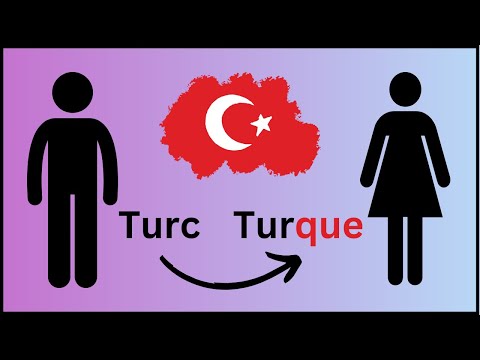 French for Beginners Lesson 6a Adjectifs de nationalité