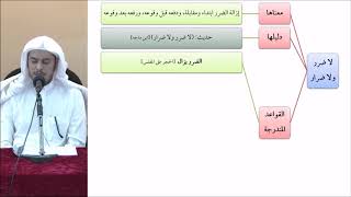 صورة القواعد الفقهية (مقسم) 40 - التأهيل الفقهي - عامر بهجت (الضرر يزال)