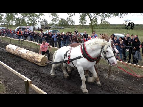 -SIMIĆI PREORALI SIVAC I NAJAVILI PONOVNI DOLAZAK U BOSNU -
