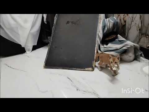 Kitna masti kar raha hai 