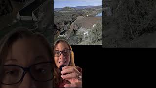 Salmon Swim Free In This River For The 1st Time in 100 Years #shorts