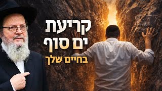כשאתה מרגיש שאין מוצא: הסגולה לקריעת ים סוף הפרטית שלך | פרשת בשלח