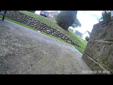 Chipmunk visitor May 22 2025 #backyardzoo #roanokeva #chipmunk