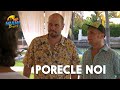 Porecle Noi