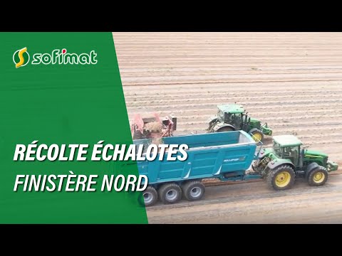 Video Sofimat - Teaser campagne récolte échalotes dans le Finistère Nord