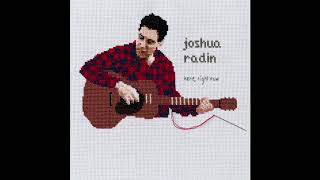 Joshua Radin - Here, Right Now (Official Audio)