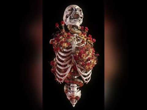 Skybad.xly - Uzaktayım (Official Video)