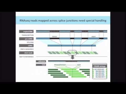 BroadE: GATK/Mapping and processing RNAseq