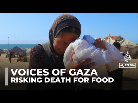 Video — Al Jazeera