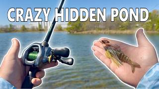 I found an INSANE Hidden Pond! (Bass Fishing Fort Worth, Texas)