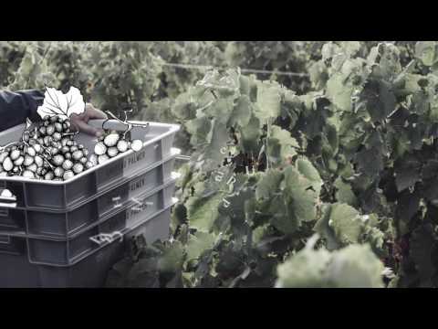 Hear Palmer 2016 by Archie Shepp Quartet