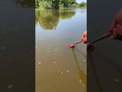 Red Liquid High Concentration Fish Bait for Trout Cod Carp Bass Strong Fish Attractant