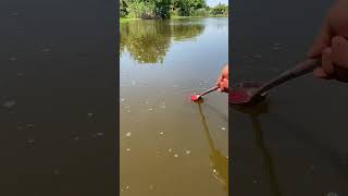 Download lagu Umpan Ikan Cair Merah Konsentrasi Tinggi untuk Ikan Trout, Ikan Kod, Ikan Mas, Ikan Bass, Pemikat Ikan yang Kuat mp3