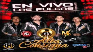 Serias Capaz - Alta Consigna - En Vivo Desde Las Pulgas - 2015