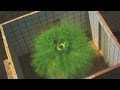 Watch Beautiful Explosions of Paint in Slow-Motion! | MythBusters: The Search Watch Beautiful Explosions of Paint in Slow-Motion! | MythBusters: The Search