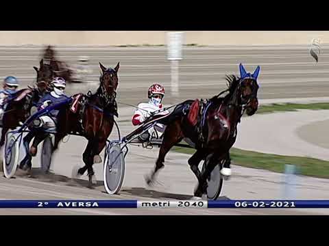 Aversa trotto 6 Febbraio 2021 - 2° Corsa