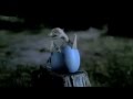 Merlin Merlin Summons Aithusa