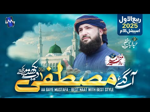 New Heart Touching Naat | Aa Gaye Mustafa Dekhte Dekhte | Hafiz Munir Ahmed 