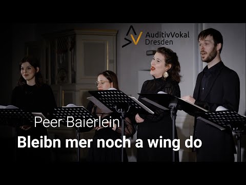 Peer Baierlein: Bleibn mer noch a wing do