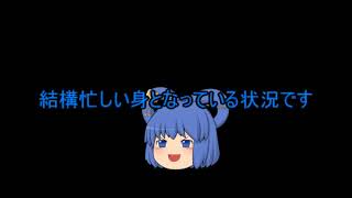 青娥にゃんから報告