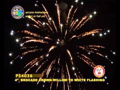 PS4036 KULOVÁ PUMA   4"  Brocade Crown Willow To White Flashing  36/1