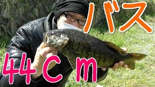 多摩川　スモールマウスバス