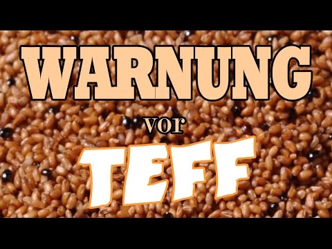 Teff & Teffmehl, das neue Superfood?! Nährstoffanalyse und Vergleich mit Quinoa und Süßlupine!