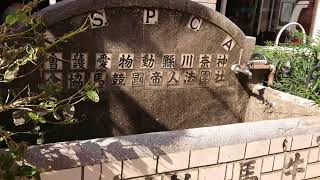 【関内ホール映像ディレクター講座_作品04】