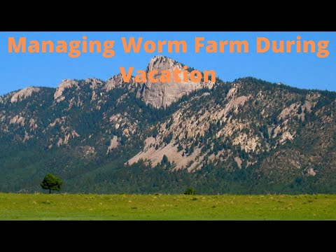 Managing Worms While on Vacation
