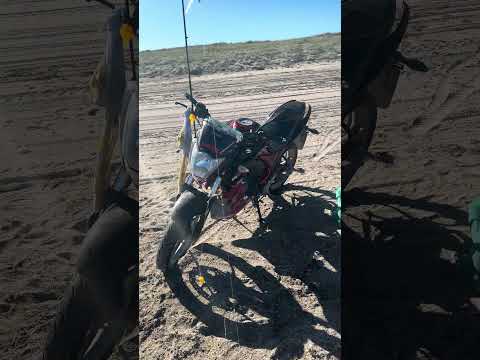 Hoy pesca en el camino del tigre!! San Antonio oeste Río Negro!!