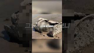 Download lagu 호수가 얕아지면서 발견된 드럼통안에서 mp3