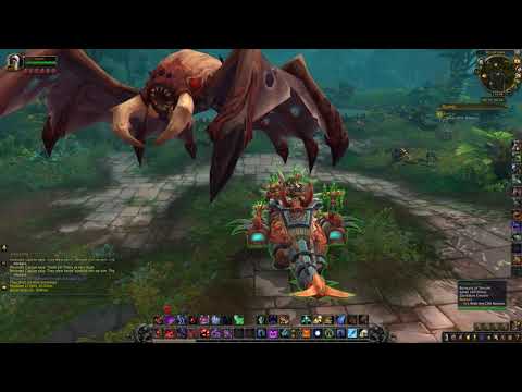 Rokhan Quest ID 47201 Playthrough WoW