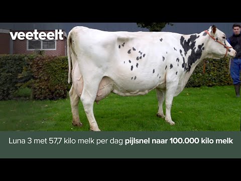 , title : 'Luna 3 met 57,7 kilo melk per dag pijlsnel naar 100.000 kilo melk'