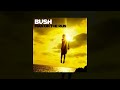 Bush - Surrender [Custom Instrumental]