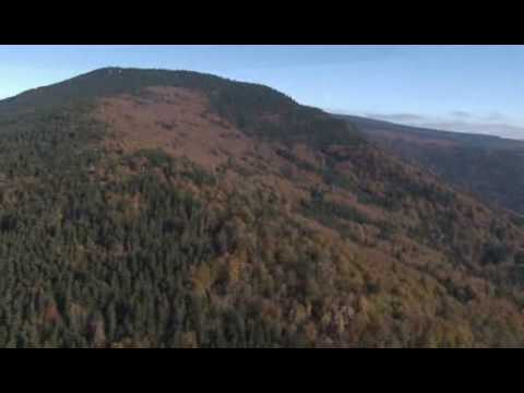 Falkenstein im Sommer