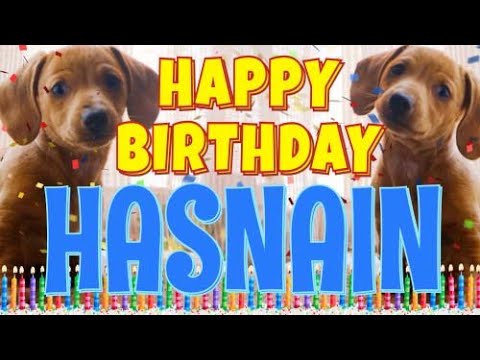 Happy Birthday Hasnain! ( Funny Talking Dogs ) What Is Free On My Birthday