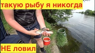 Форум рыбалка строгино