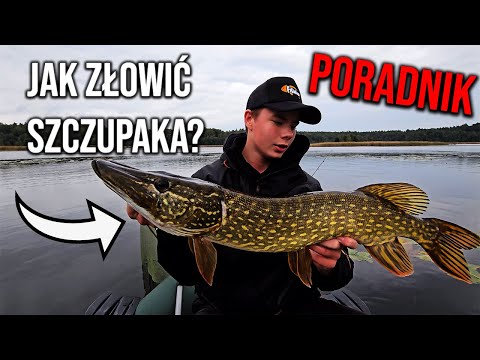 HOW TO CATCH PIKE? | GUIDE
