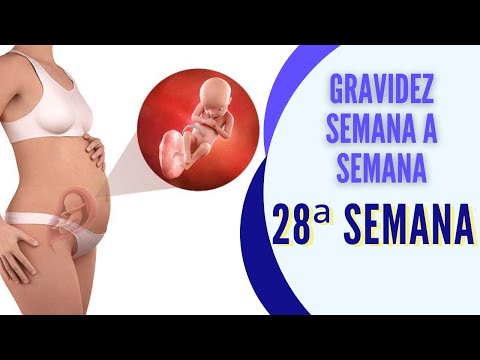 PREGNANCY WEEK BY WEEK: 28th Week