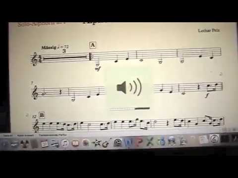 "Alphorn Paradise" Alphorn and Bandoneon