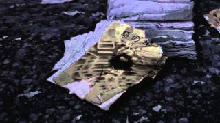 Aku no Hana Ending | ~a last flower~