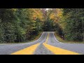 Beautiful Nature Road Video Stock Fog Effect Free Background Video Effects HD No Copyright