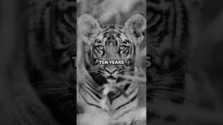 1 Year of Focus = 10 Years of Freedom ❗️❗️❗️❗️