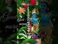 Good Morning Ll Good Morning Shree Krishna Status Short Viral