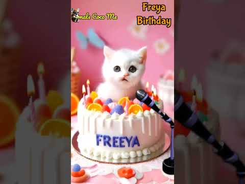 FREYA BIRTHDAY | HAPPY BIRTHDAY SONG WITH NAMES | Adorable Cute Cat 😺  #happybirthday #cats